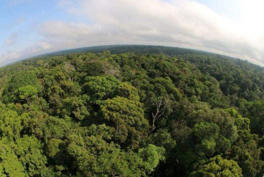 Pressão sobre o Amazonas