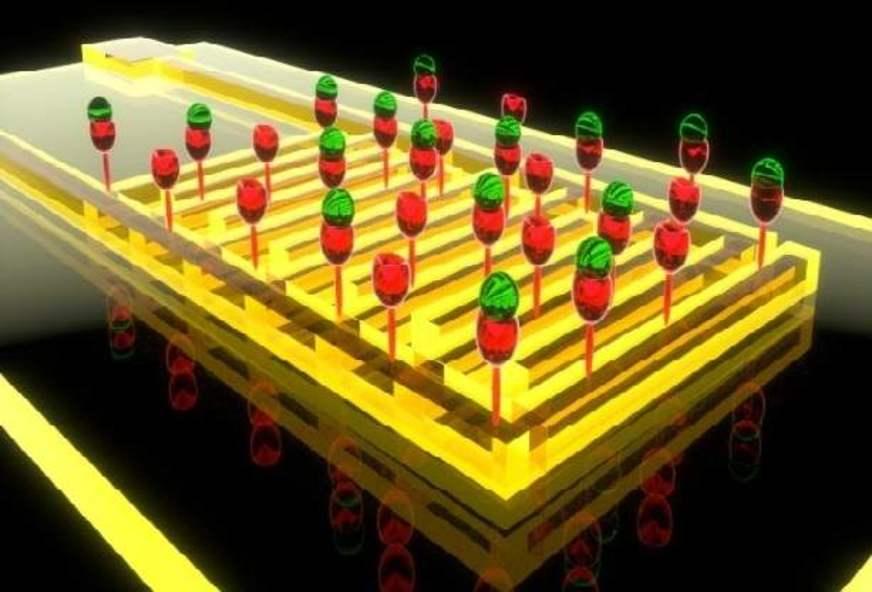 Novo biossensor pode detectar câncer de pâncreas com maior precisão