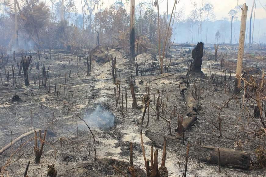 Operação identifica focos de queimada, flagra crimes e aplica multas no Amazonas