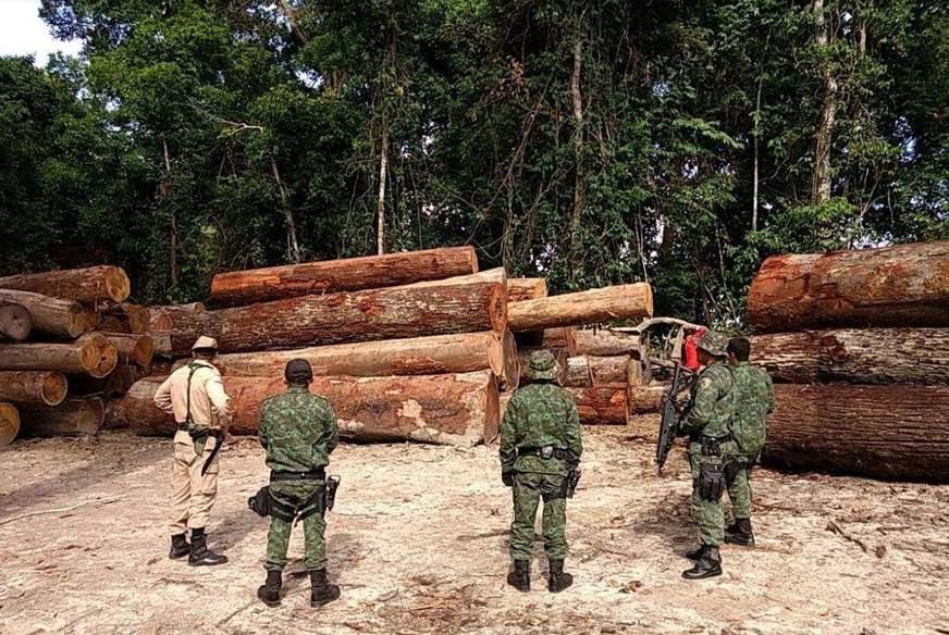Operação contra o desmatamento soma mais de R$ 9 mi em multas no Amazonas