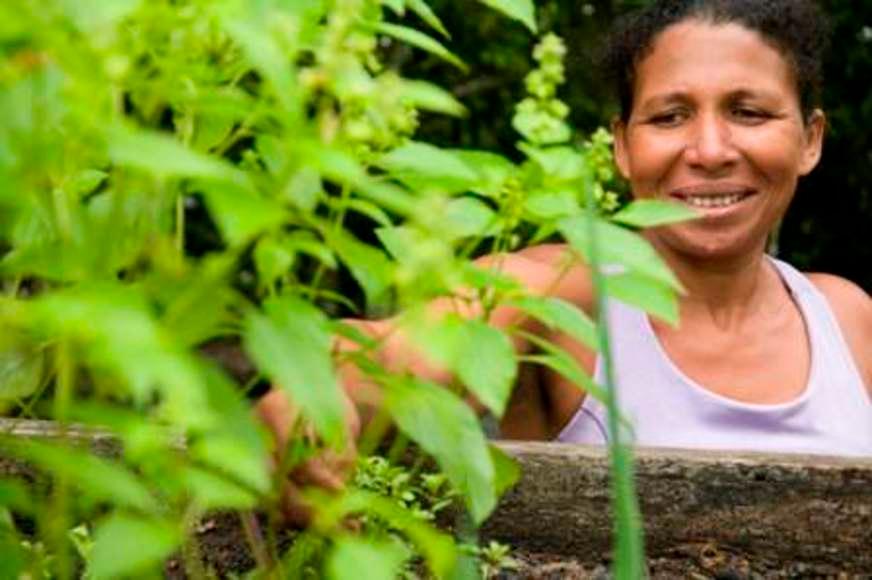 Amazônia em pé ganha ‘selo’ alemão