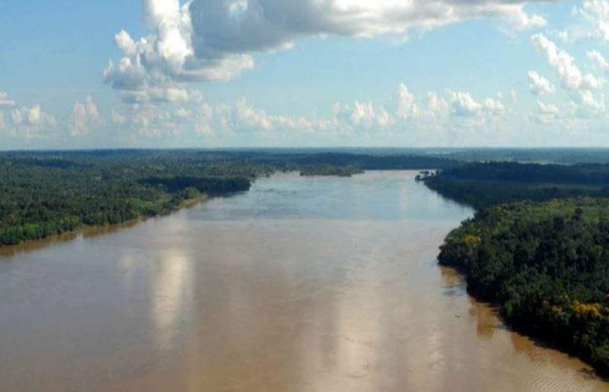 Dia da Amazônia será celebrado no 21 de junho