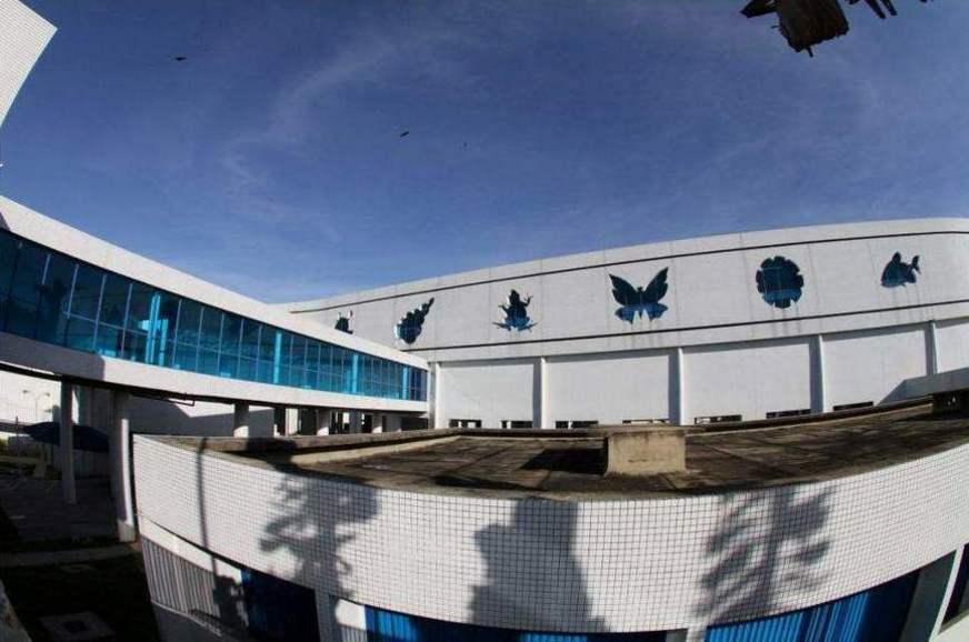 CBA: nunca mais uma ‘anta branca’