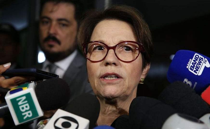 Tereza Cristina quer defender propriedade e frear ‘indústria de multa’
