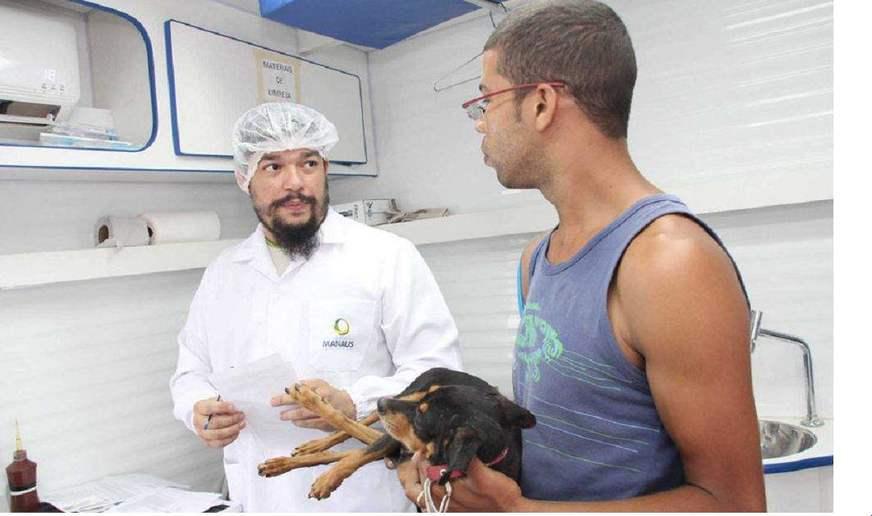 Castrações e microchipagem de animais vão voltar em dezembro, diz Semsa