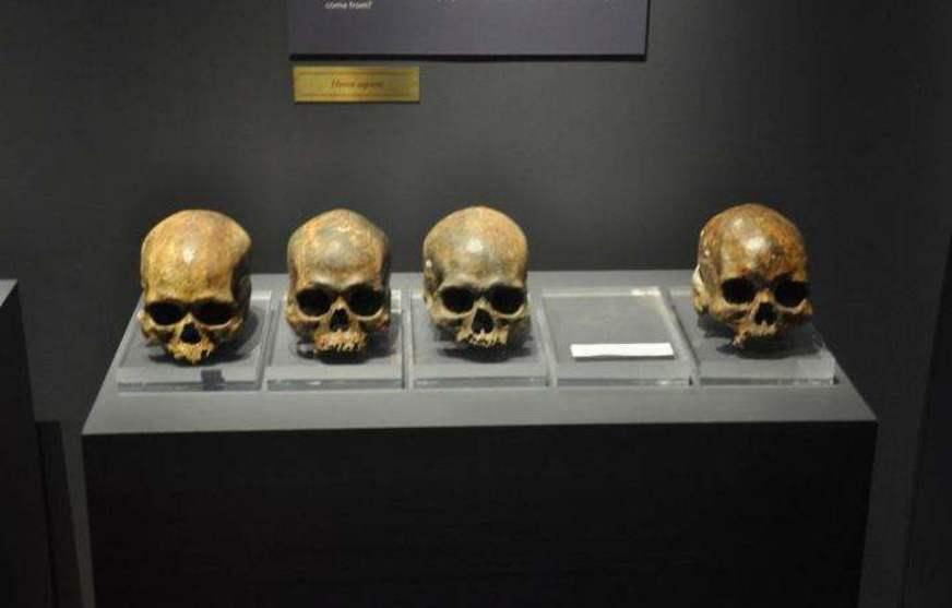 Pesquisa divulgada na Science identifica povoamento das Américas