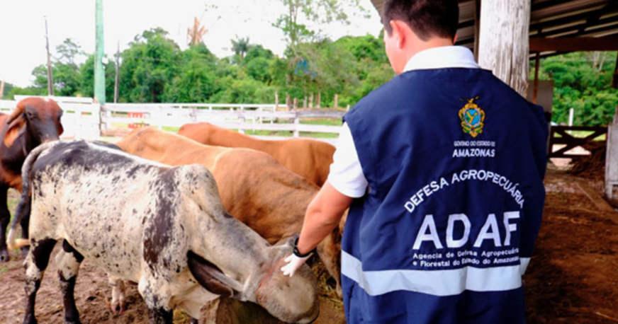 Concurso da Adaf: resultado de prova objetiva será divulgado no dia 11 de janeiro
