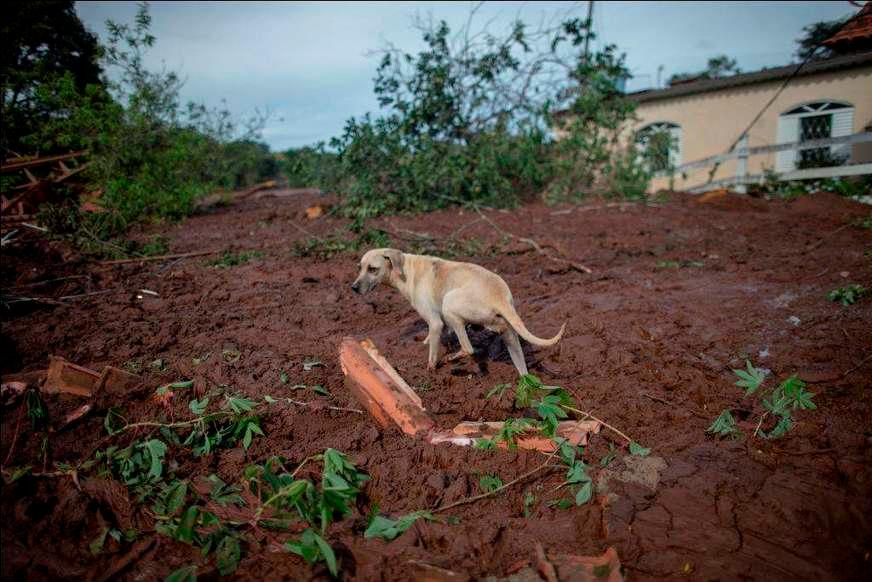 Vale é multada em R$ 250 milhões por rompimento de barragem