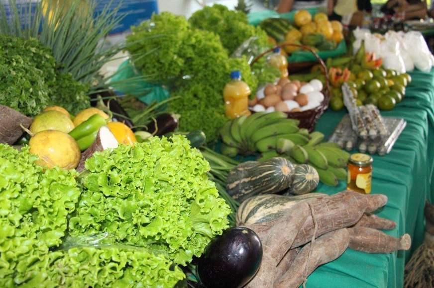 Conheça sete feiras para você comprar produtos regionais em Manaus