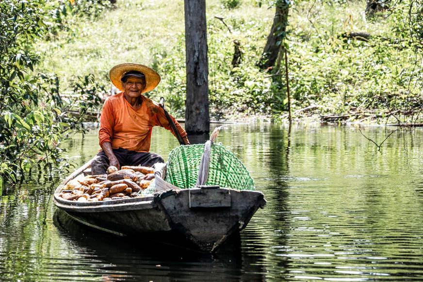 Instituto Mamirauá busca pesquisadores e oferece bolsas de até R$ 5.200