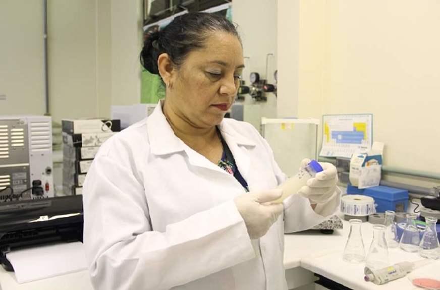 Bebidas de frutos amazônicos podem ser usadas para controlar colesterol e obesidade
