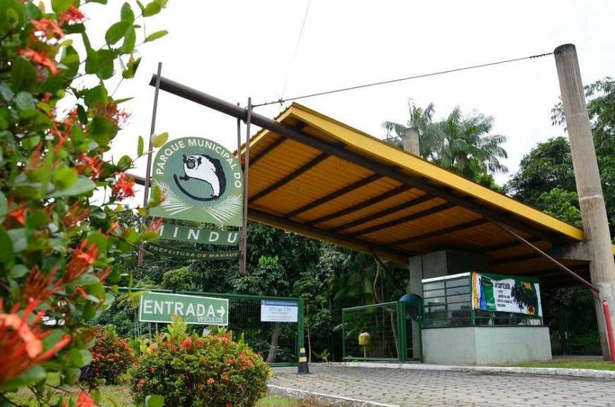 Gestor do Parque do Mindu leva facada de homem que invadiu local para roubar açaí