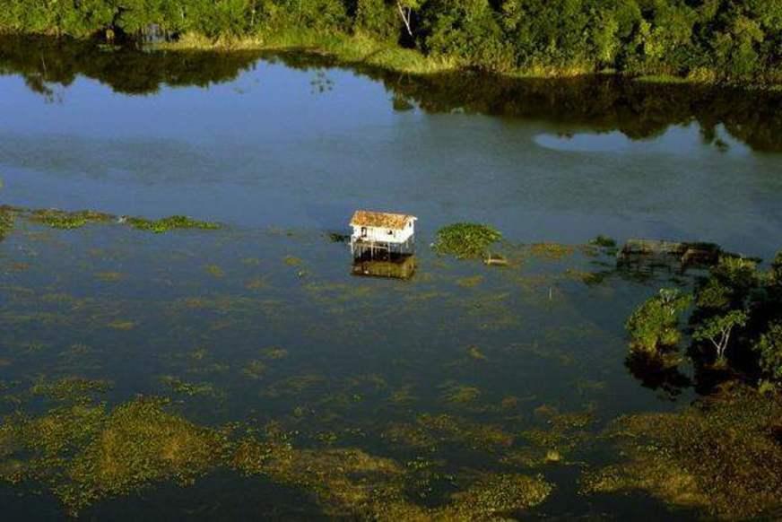 MPF recomenda proteção ao meio ambiente e comunitários em reserva extrativista no AM