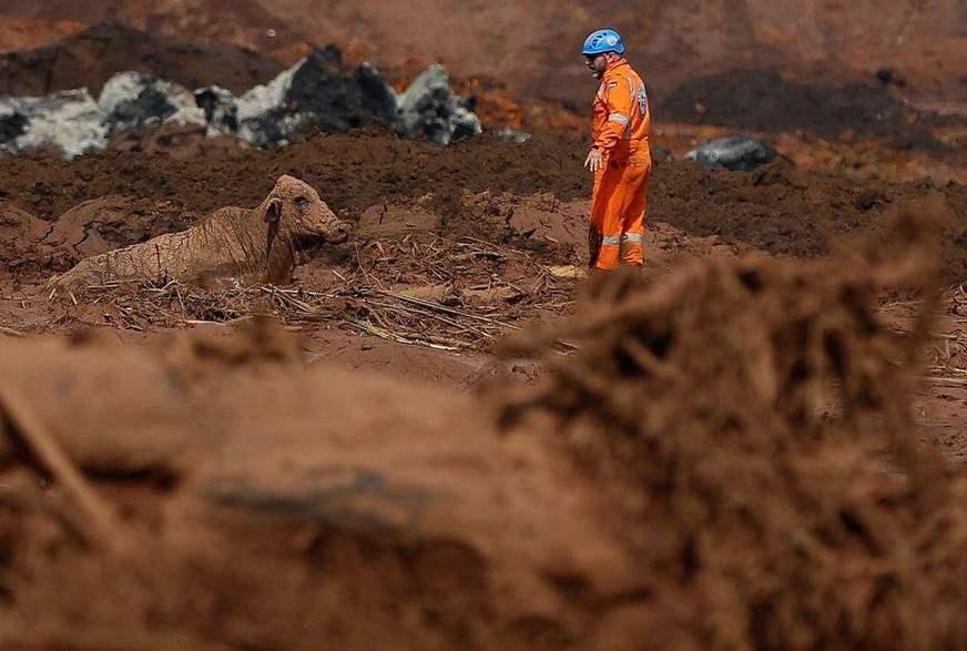 Brumadinho contrata profissionais para atender vítimas da tragédia