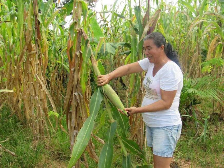 ADS reforça programas de comercialização para produtores do Amazonas