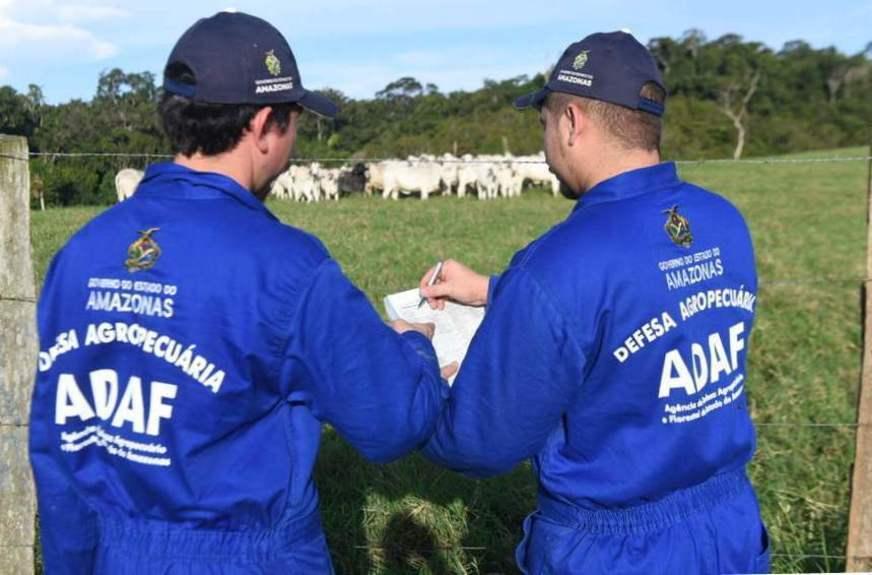 Adaf publica resultado preliminar do concurso público de 2018