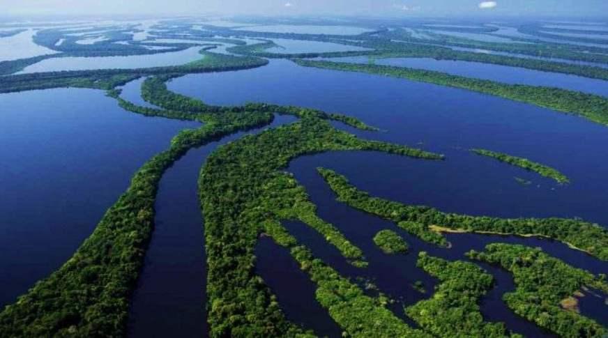 A Amazônia no ‘Plano Dubai’