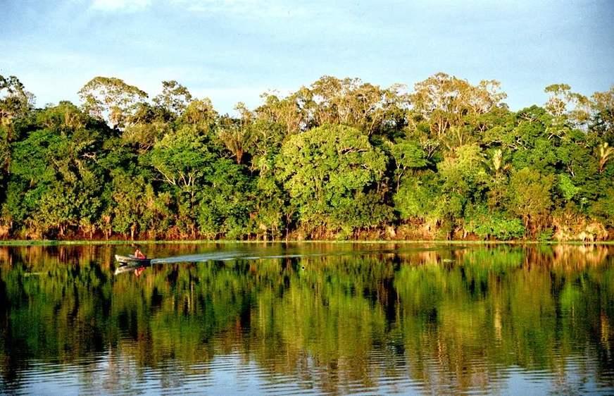 Alemanha e Noruega defendem verba milionária para proteção da Amazônia