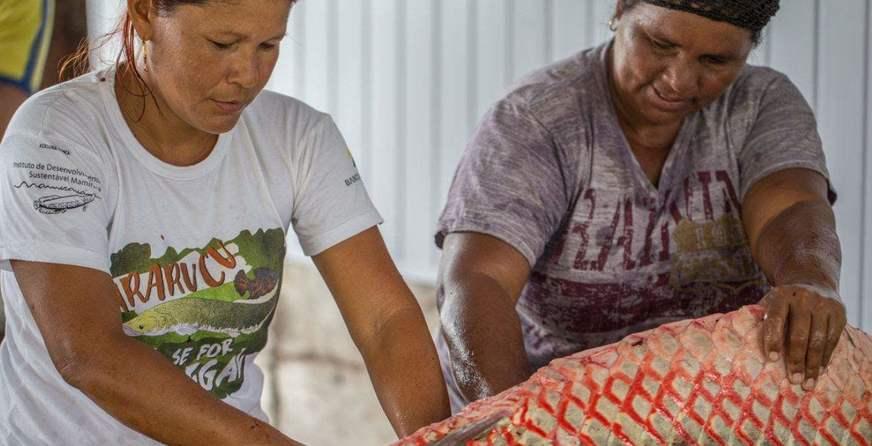 Pesquisa: manejo na Amazônia permite empoderamento de mulheres na pesca