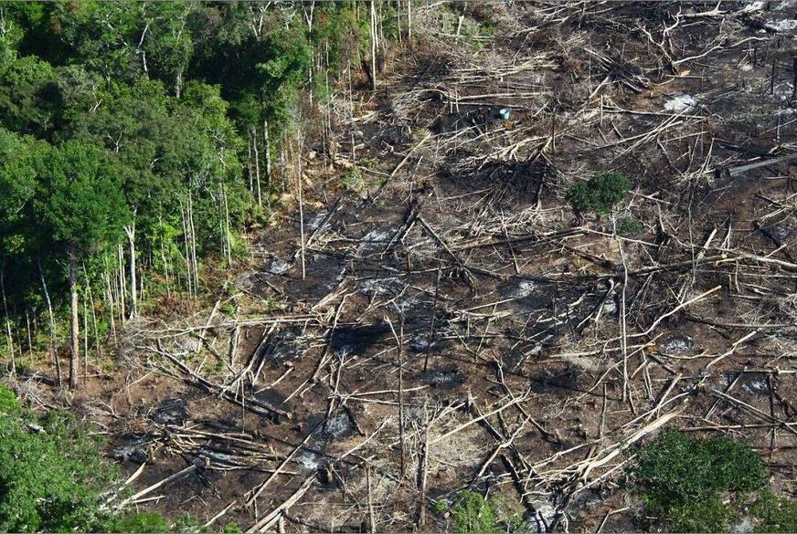 Desmatamento na Amazônia dispara e ameaça acordo comercial com UE