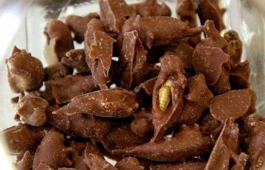 Pesquisa mostra que chocolate com grilo é tendência entres comidas do futuro