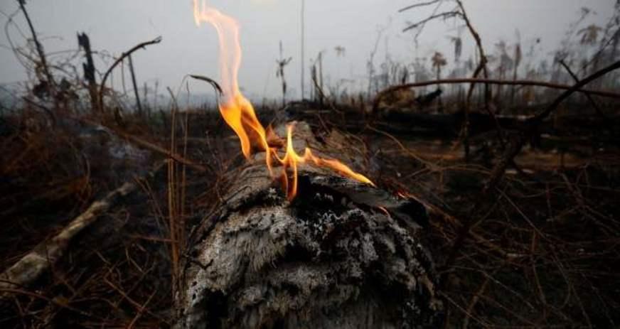 Amazônia é nossa ou não é?