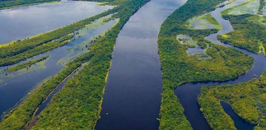 Amazônia, um passo à frente