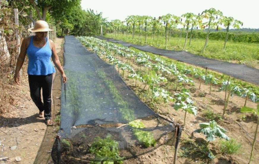 Governo do AM tem R$ 29,8 milhões a receber