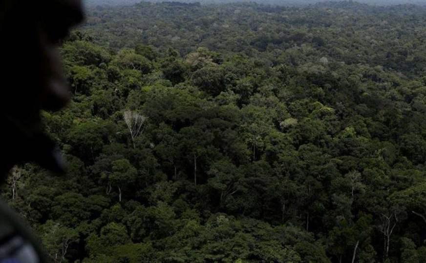 Estados decidem negociar diretamente com países doadores do Fundo Amazônia