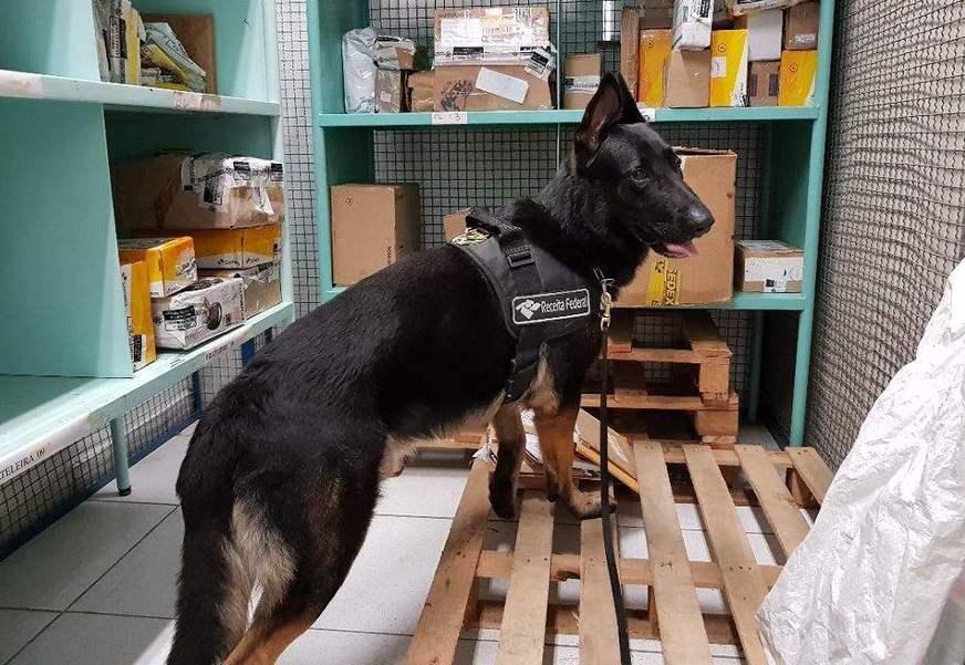 Criminosos utilizam barcos e até os Correios para o transporte de drogas