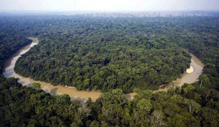 A Amazônia entre deliberações