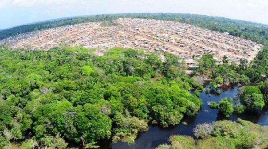 A tarefa dos governadores da Amazônia