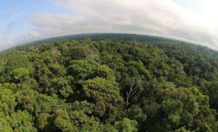 União pela amazônia