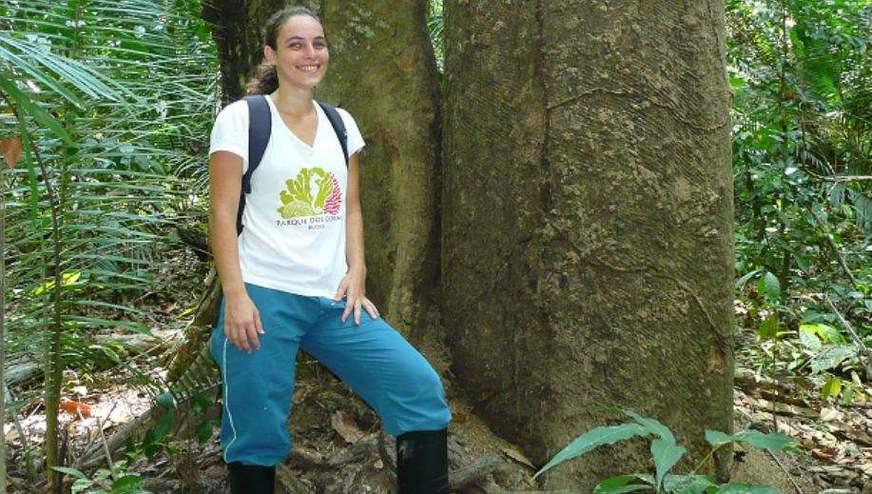 Floresta Amazônica foi ‘domesticada’, aponta pesquisa premiada