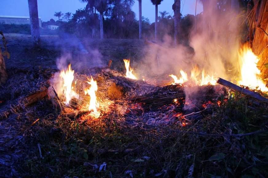 ‘Amazônia pode se transformar em uma imensa caatinga’, alerta especialista
