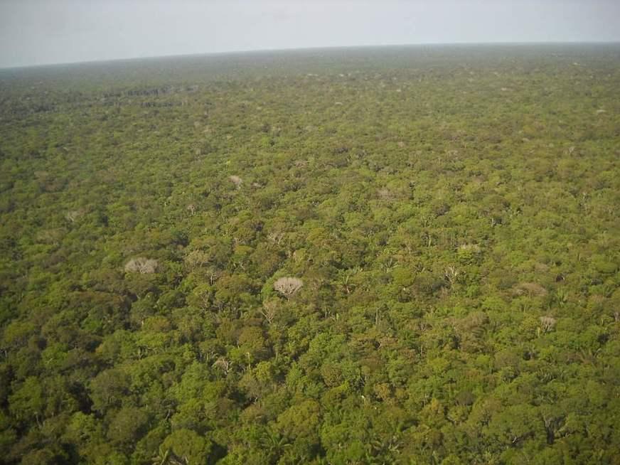 Tema ‘Amazônia’ deve ganhar destaque em questões do Enem