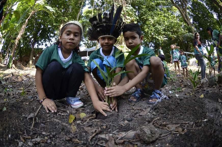 ‘Dia da Árvore’ é comemorado anualmente em dose dupla no Norte do país