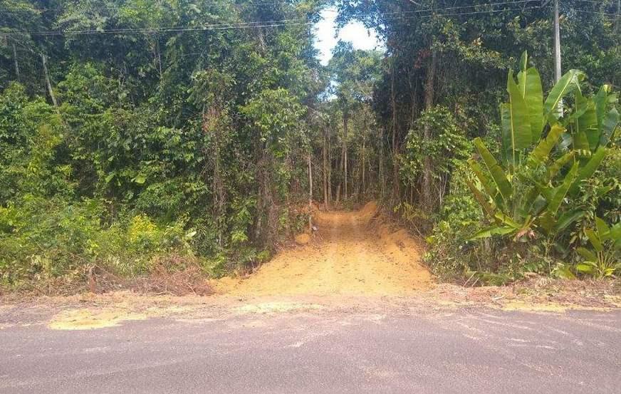 Ramal é construído em Área de Preservação em Presidente Figueiredo no AM