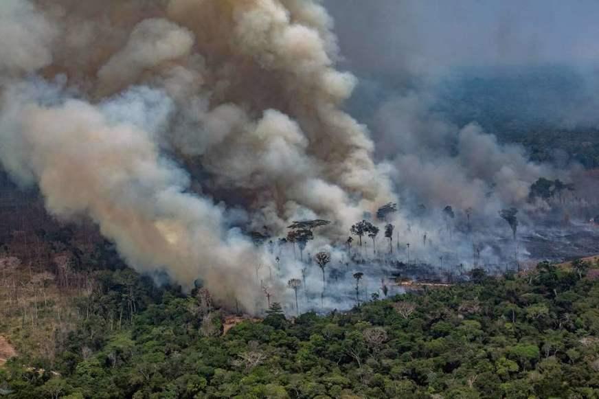 Em setembro, multas aplicadas na Amazônia somam R$ 141 milhões