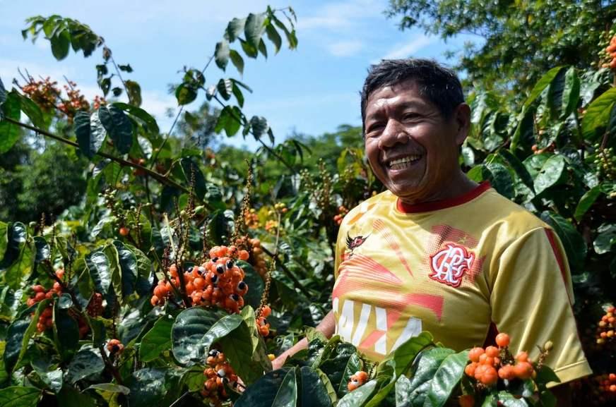 Guaraná da Amazônia: negócio de família que tem valor global
