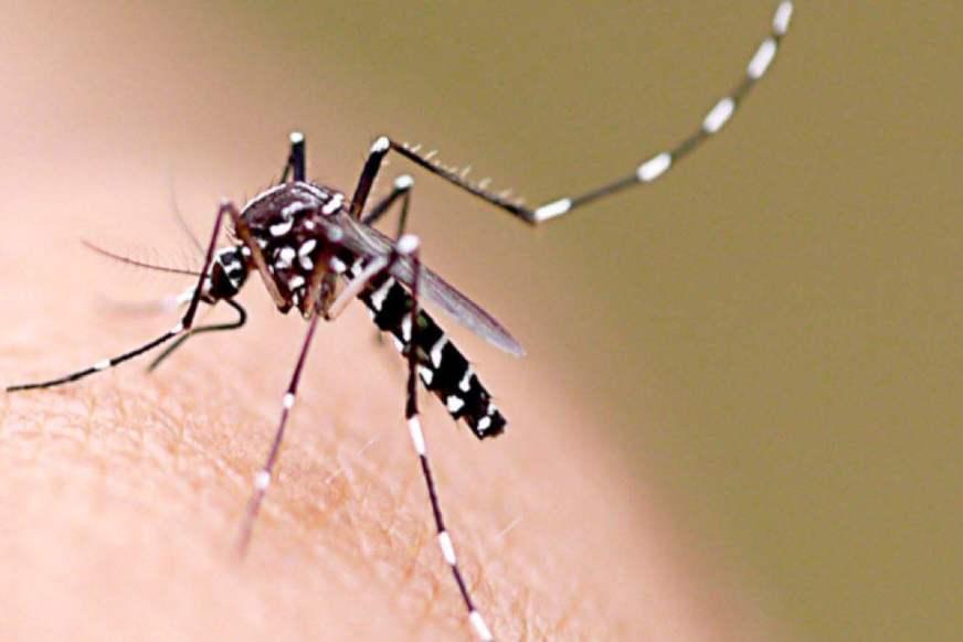 FVS envia equipe técnica para força-tarefa contra dengue em Tabatinga