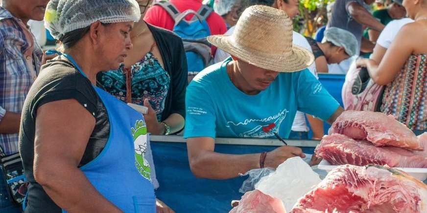 Feira do Pirarucu Manejado acontece neste fim de semana em Alvarães