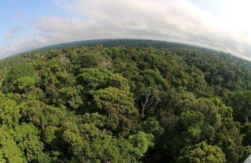 Fundo Amazônia ameaçado
