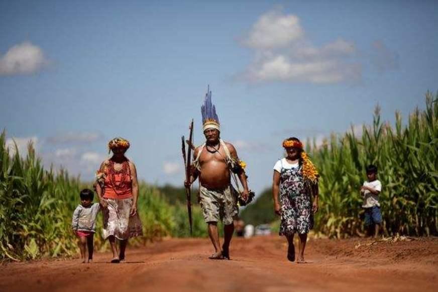 MPF quer frear compra de grãos e gado de acusados de crimes contra indígenas
