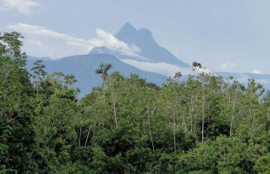 ICMBio abre edital para retomar turismo no Parque do Pico da Neblina