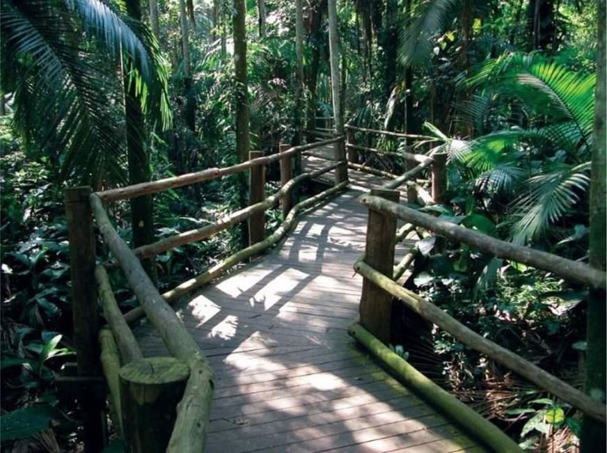 Manaus vai ganhar bosque ecológico em 2020, na sede do Ipaam