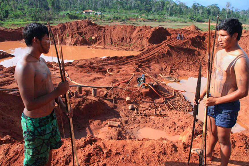 Cientistas do Inpa e da SBPC repudiam mineração em terras indígenas