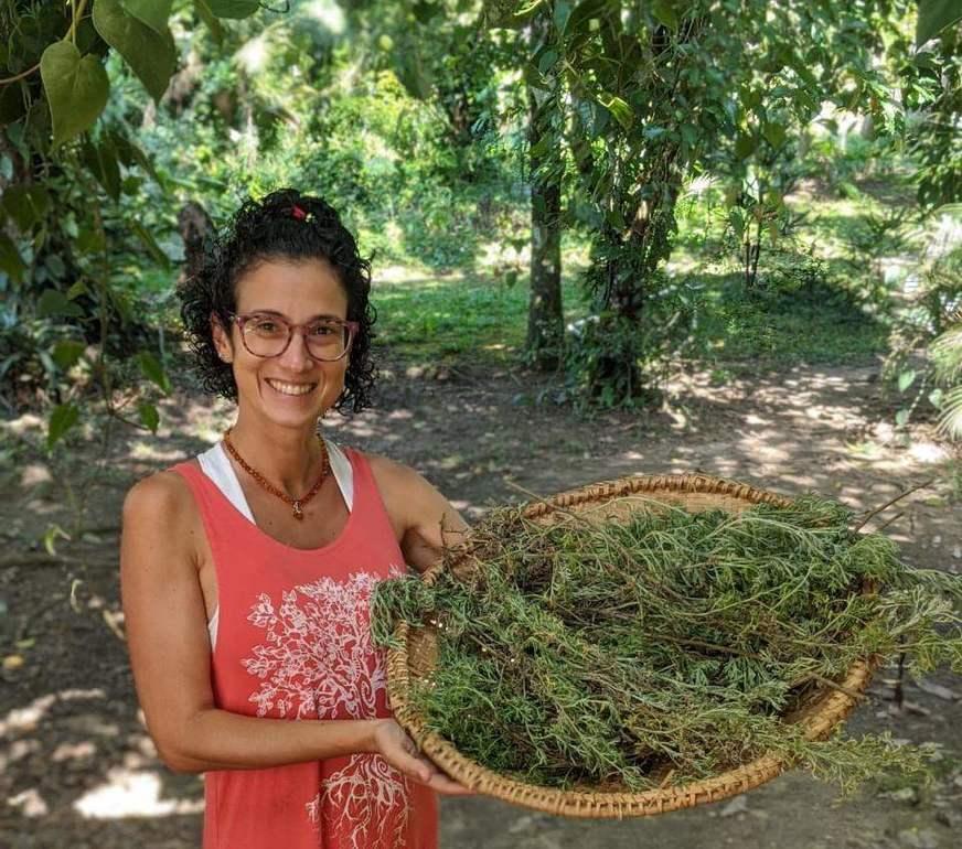 Artemísia: a erva da deusa