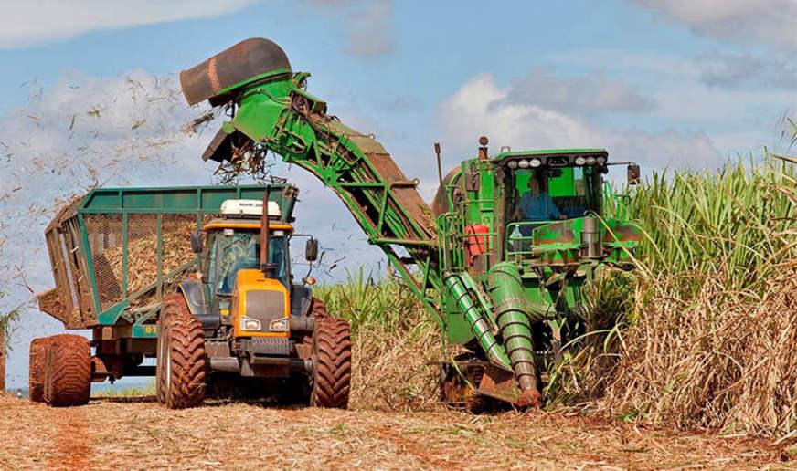 Justiça suspende decreto que permitia plantio de cana-de-açúcar na Amazônia