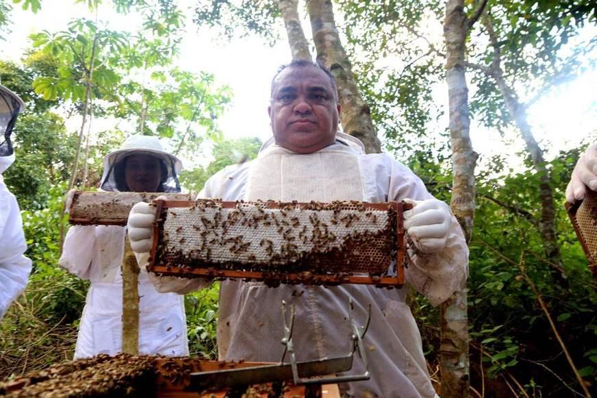 Feirante doará 100 kits de mel de abelhas para profissionais da saúde